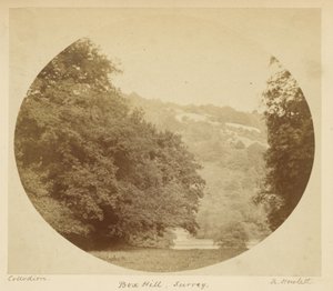 Box Hill, Surrey von Robert Howlett