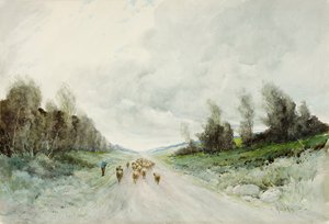 Eine Straße in Northumberland