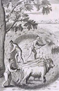 Die Art, ihren Reis zu stampfen, aus An Historical Relation of the Island Ceylon, veröffentlicht 1681 (Gravur)