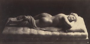 Der Hermaphrodit von Robert MacPherson