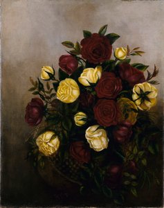 Rosen Stillleben