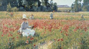 In Flanders Field - Wo Soldaten schlafen und Mohnblumen wachsen