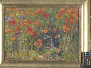 Mohnblumen