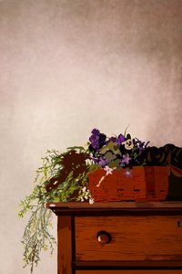 Die Kommode von Roberta Murray