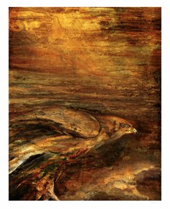 Goldener Falkenflug