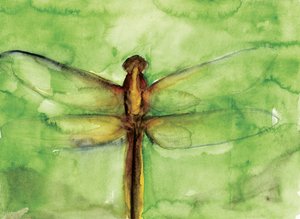 Grüne Libelle Aquarell
