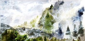 Nebliger Bergwald von RodMacIver