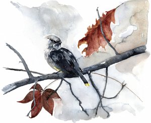 Friedlicher Herbstvogel