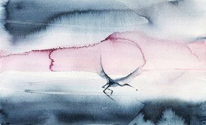 Vogel im Flug am rosa Himmel von RodMacIver
