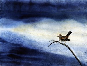 Singender Vogel dunkler Himmel