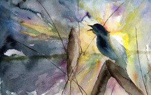 Singender Vogel im Sonnenaufgang von RodMacIver