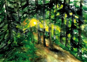 Sonnenbeschienener Waldweg von RodMacIver