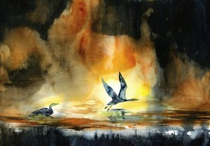 Sonnenuntergang Wasservögel von RodMacIver