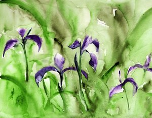 Lebhafter Irisgarten von RodMacIver