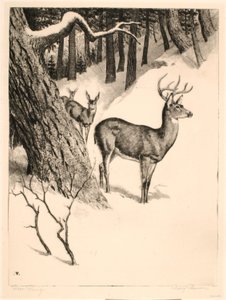 Hirschfamilie von Rodney Thomson