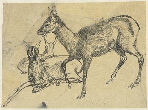 Drei Hirsche