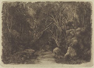 Der Bach im Wald