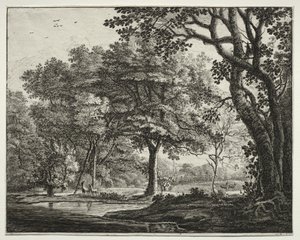 Sechs Ansichten im Wald von Den Haag: Platte 6, Zwei Hirsche