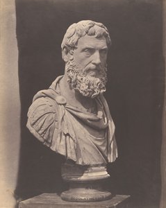 Aelius Caesar