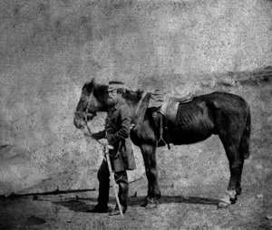 Kapitän Arthur Layard, 1855