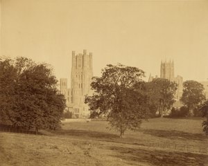Ely Kathedrale vom Park aus von Roger Fenton