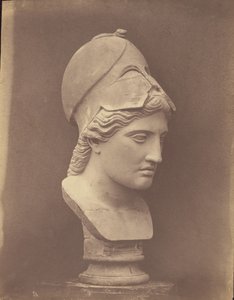 Kopf der Minerva [Dreiviertelansicht] von Roger Fenton