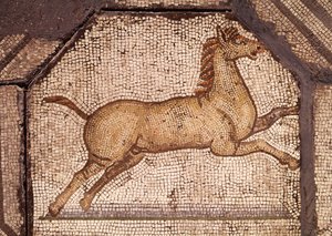 Ein Pferd, Detail aus Orpheus bezaubert die Tiere von Roman
