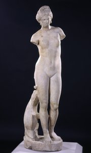 Aphrodite von Kyrene von Roman