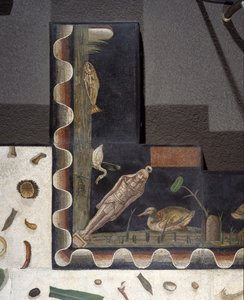 „Asarotos“ (Boden ungesäubert) Fragmente eines Mosaiks, signiert von Harakliton aus Rom, 2. Jahrhundert n. Chr., Rom von Roman