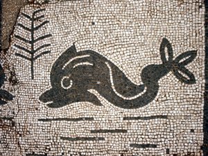 Darstellung eines Delfins nach einem Mosaik auf dem Platz der Corporazioni von Ostia Antica von Roman