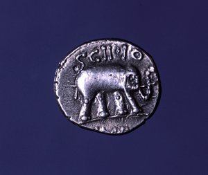 Silbermünze mit einem Elefanten, dem Fetisch-Tier der Scipionen. Lucius Caecilius Metellus eroberte die karthagischen Elefanten 251 v. Chr. 47-46 v. Chr.