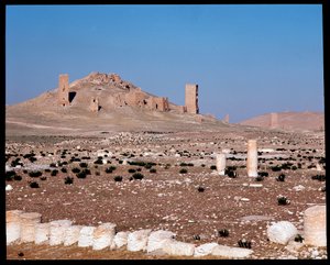 Ansicht der Turmgräber von Iamblichus und Elahbel von Roman