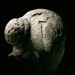 Rückansicht eines Frauenkopfes, 2. oder 3. Jahrhundert n. Chr. von Roman Period Egyptian