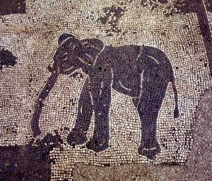 Antikes Ostia. Platz der Korporationen. Mosaik der Seefahrerkorporation von Sabratha. von Roman Roman