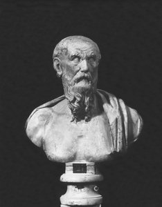 Büste des Diogenes (Marmor)