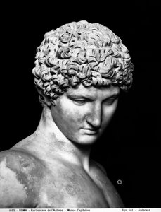 Detail von Antinous (Marmor)