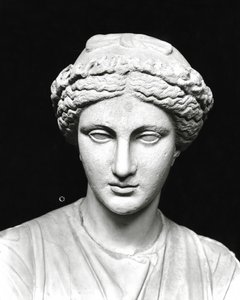 Statue der Clio, die eine Schriftrolle hält, Detail des Kopfes von Roman Roman