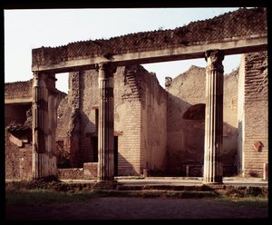 Blick auf die Palestra von Roman Roman