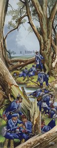 Die Schlacht von Sadowa von Ron Embleton