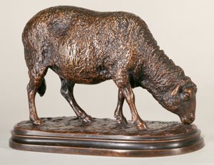 Ein weidendes Schaf