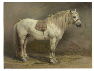 Ein weißes Pferd