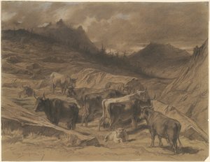 Rinder in der Auvergne