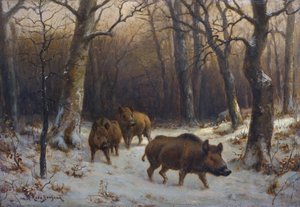 Sangliers dans la neige von Rosa Bonheur