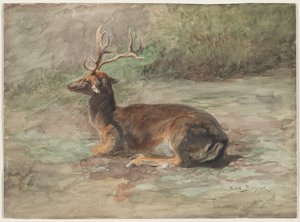 Liegender Hirsch
