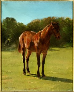 Studie eines kastanienbraunen Pferdes. Gemälde von Rosa Bonheur (1822-1899) von Rosa Bonheur