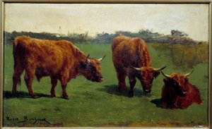 Drei Studien eines roten Rindes auf einer Wiese von Rosa Bonheur