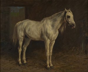 Weißes Pferd von Rosa Bonheur