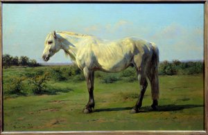 Weißes Pferd auf einer Wiese. von Rosa Bonheur