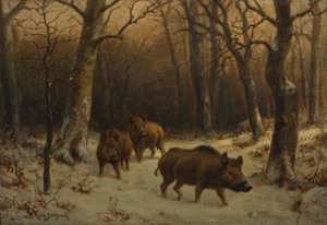 Wildschweine im Schnee, ca. 1872-77 (Öl auf Holztafel) von Rosa Bonheur
