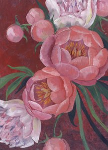 Elegante rosa Pfingstrosen von Rosana Laiz Blursbyai